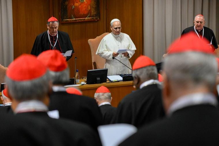 Pope Leo XIV addresses cardinals during the extraordinary consistory on Jan. 7, 2026 in Vatican City.