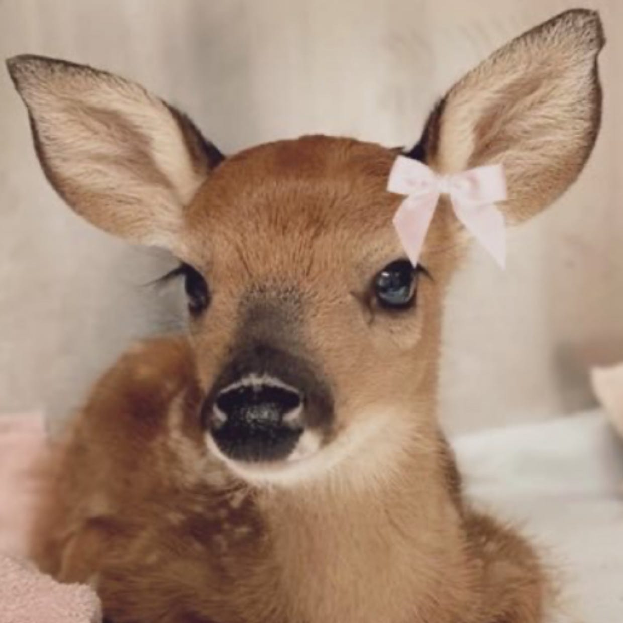 marginalia from malu