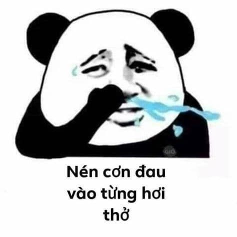 Top những meme gấu trúc Weibo siêu hài, siêu độc, siêu bá đạo