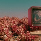 Pull Your Last Ten Posts. I'll Tell You If You Have a Brand.
