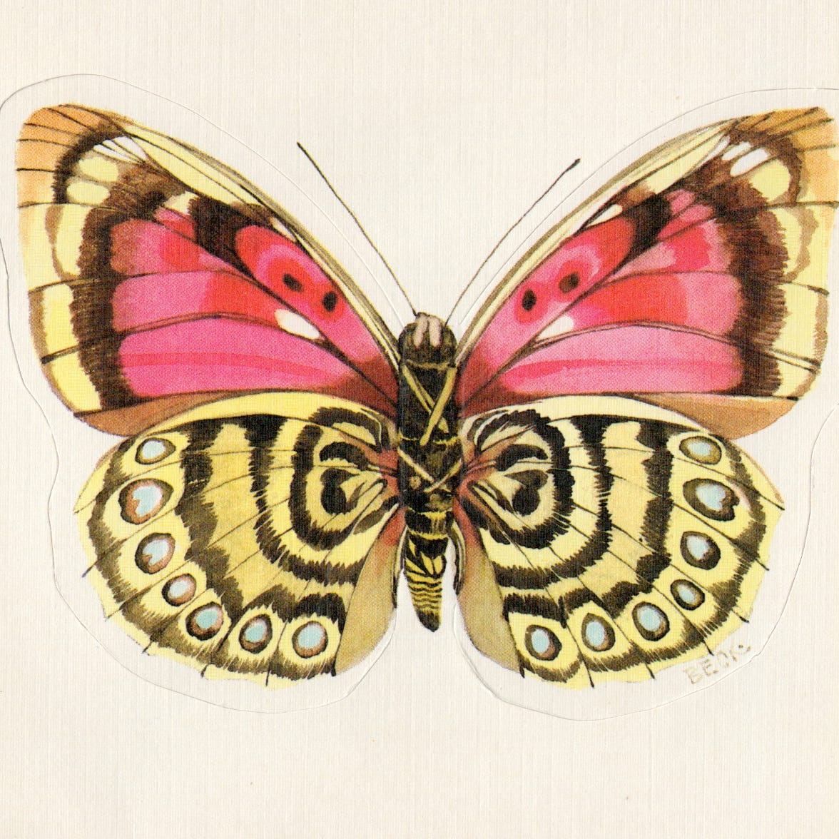 Artwork for daniela's dreamland