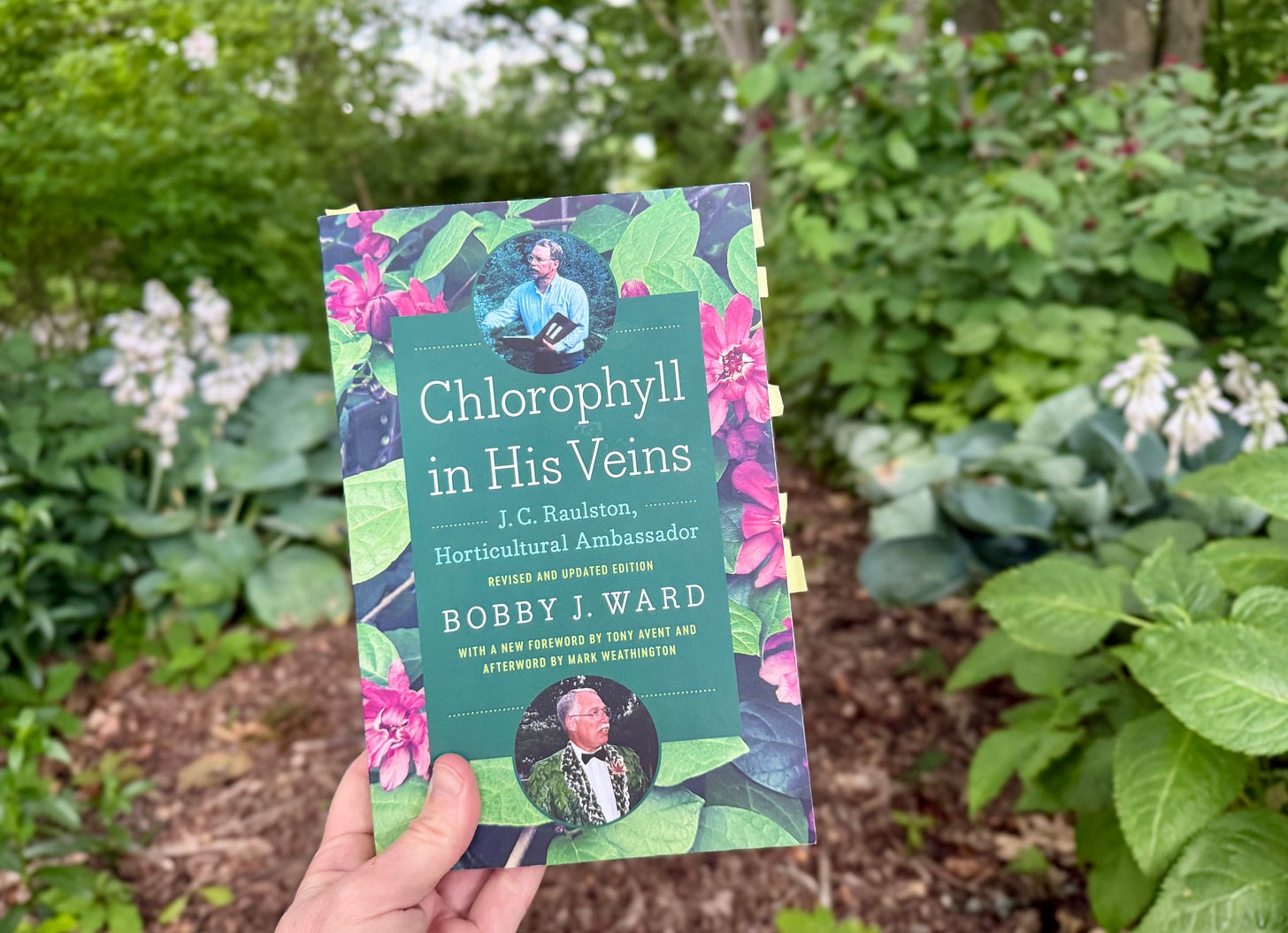Chlorophyll in His Veins by Bobby Ward