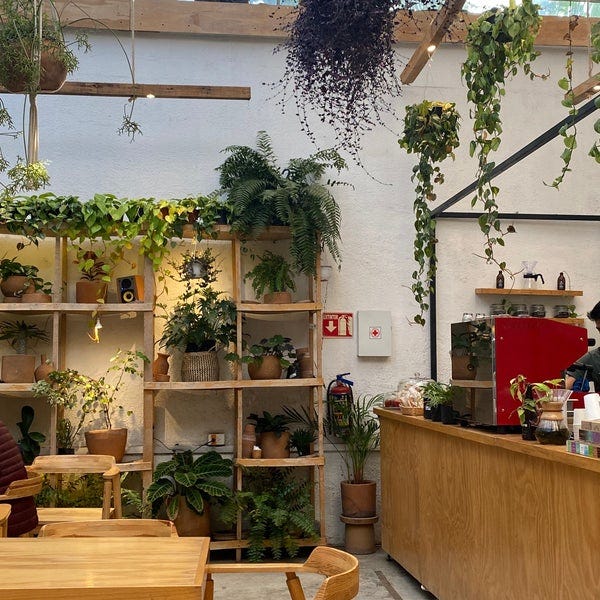 Endémico Vivero - Café - Americana - López Cotilla 1057