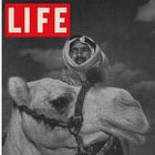 The truth is out there