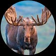 Moose Antler's avatar
