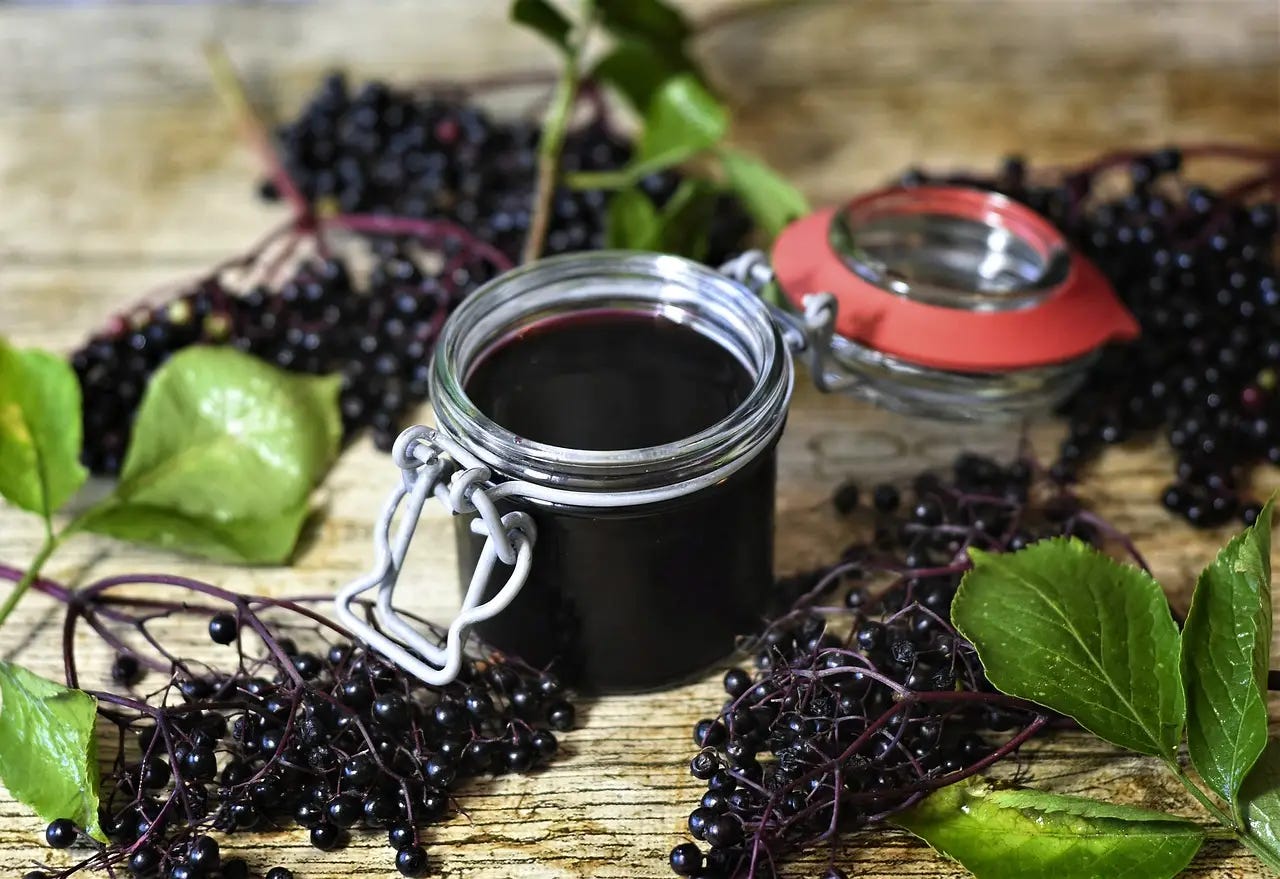 Elderberry Syrup Elderberry Syrup