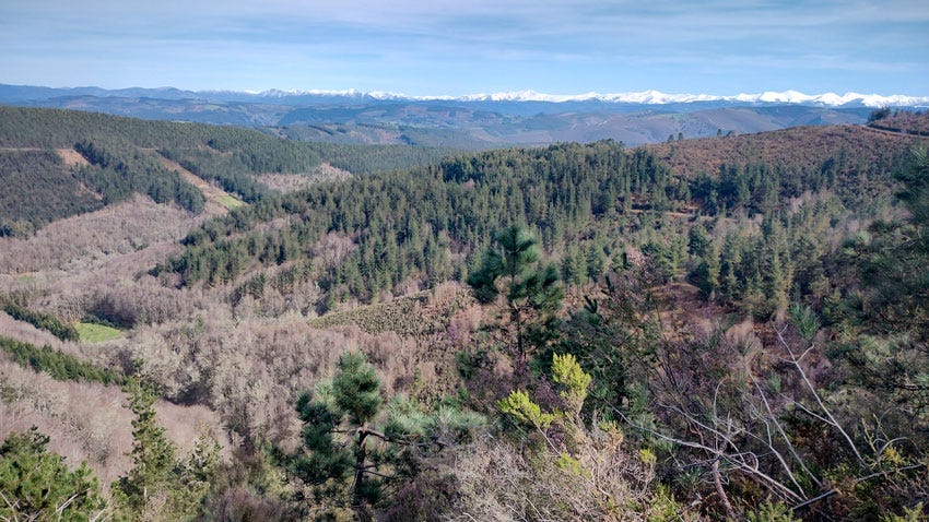 Vista panorámica con bosques y montañas nevadas en el horizonte, cerca de A Fontaneira, Lugo