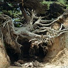 What's underneath this?