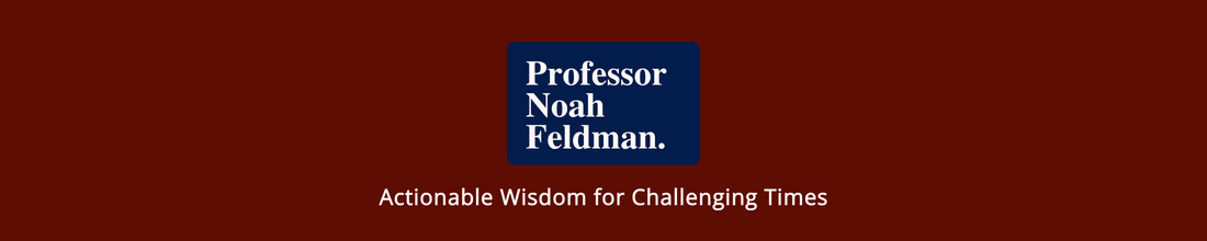 Professor Noah Feldman