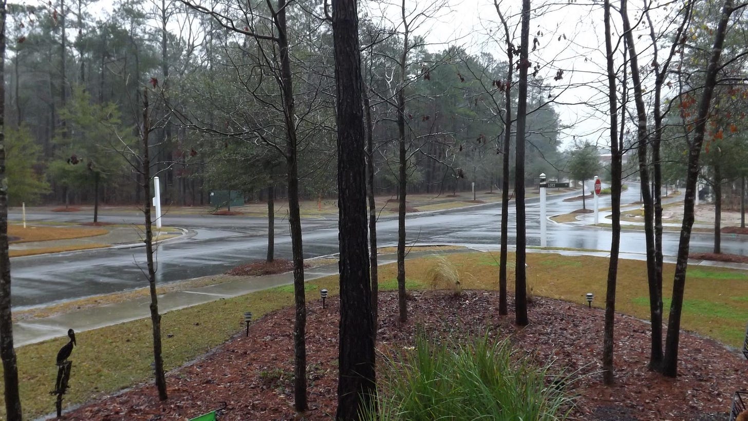 No photo description available. No photo description available.