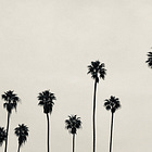 The Rant: A Utopian Summer