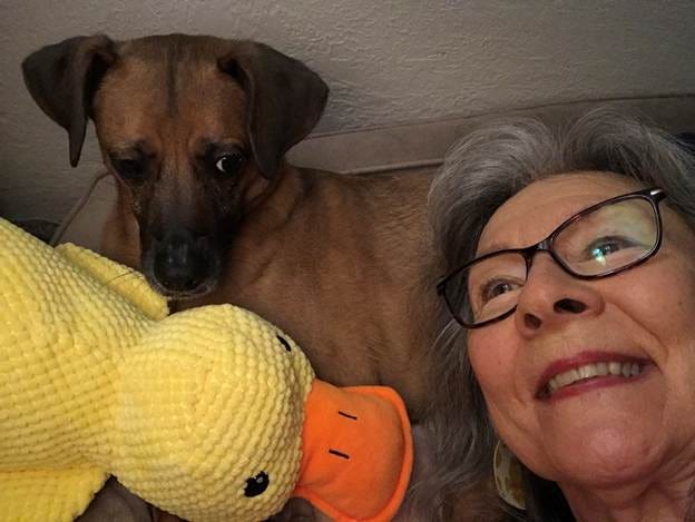 A person lying on the floor next to a dog and a stuffed animal

AI-generated content may be incorrect.