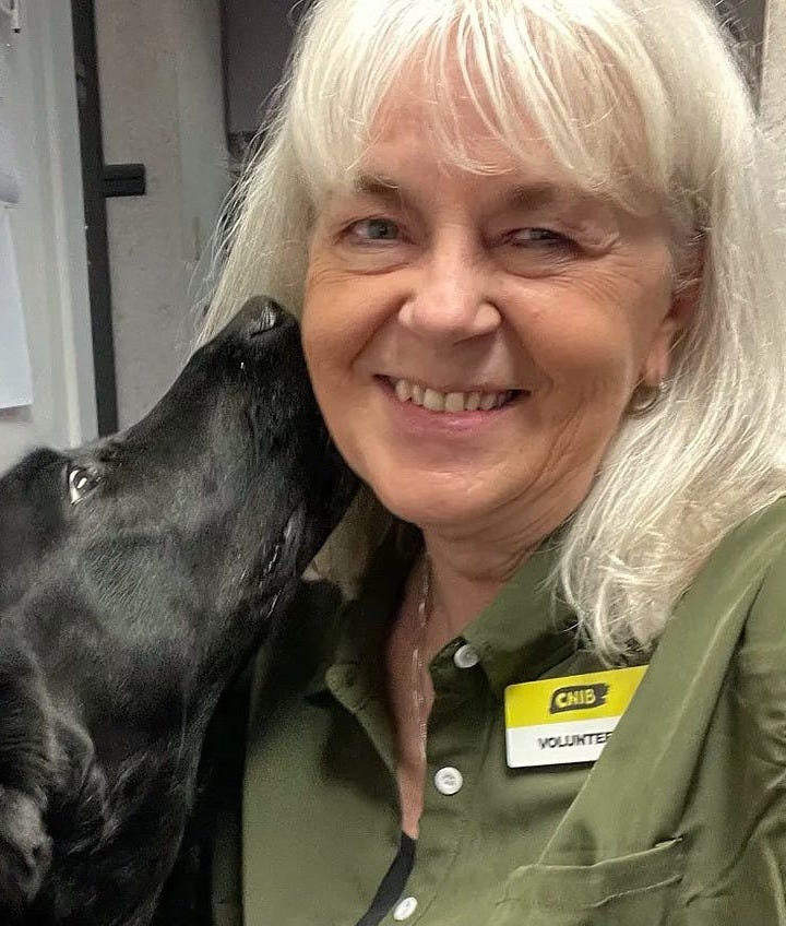 Picture of a black lab licking a lady's cheek