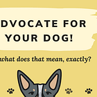 What it means to advocate for my dog