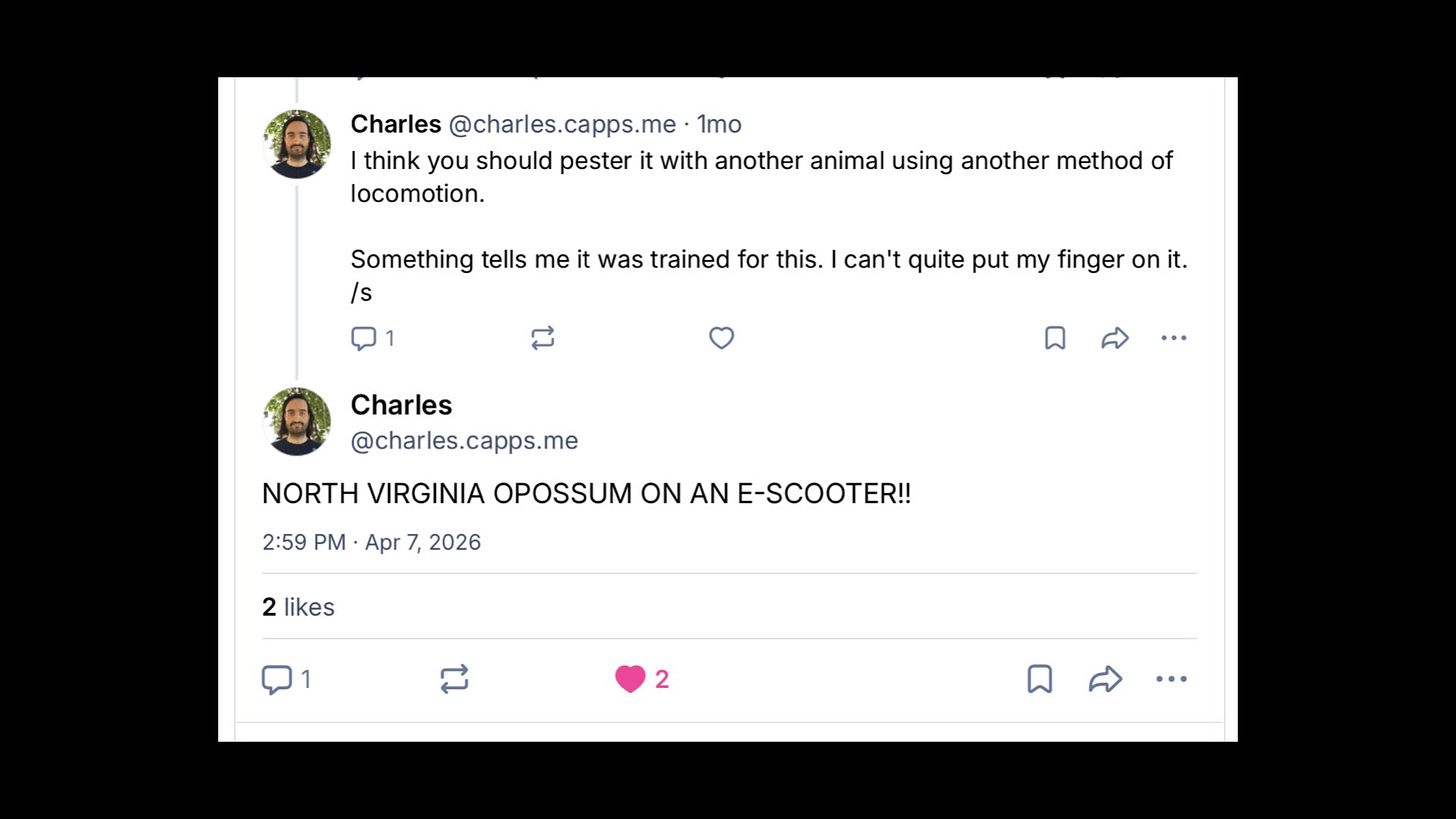 Screenshot of Bluesky
Charles
@charles.capps.me
I think you should pester it with another animal using another method of locomotion.
Something tells me it was trained for this. I can't quite put my finger on it. /s
NORTH VIRGINIA OPOSSUM ON AN E-SCOOTER!! Screenshot of Bluesky
Charles
@charles.capps.me
I think you should pester it with another animal using another method of locomotion.
Something tells me it was trained for this. I can't quite put my finger on it. /s
NORTH VIRGINIA OPOSSUM ON AN E-SCOOTER!!