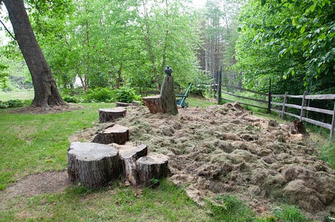 Gardens not lawns, lasagna gardening, layers
