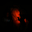 Courtney Holmes's avatar