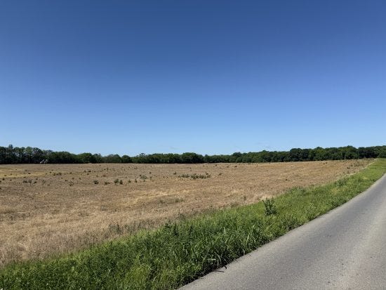 Dead field next to road
