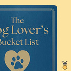 My first book has a cover!