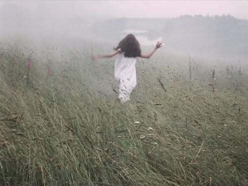 This may contain: a woman is running through tall grass in the fog with her arms spread wide open
