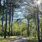 God Is Not Going to Walk Away