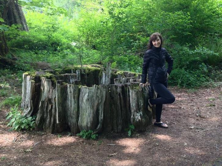 a very old stump and me