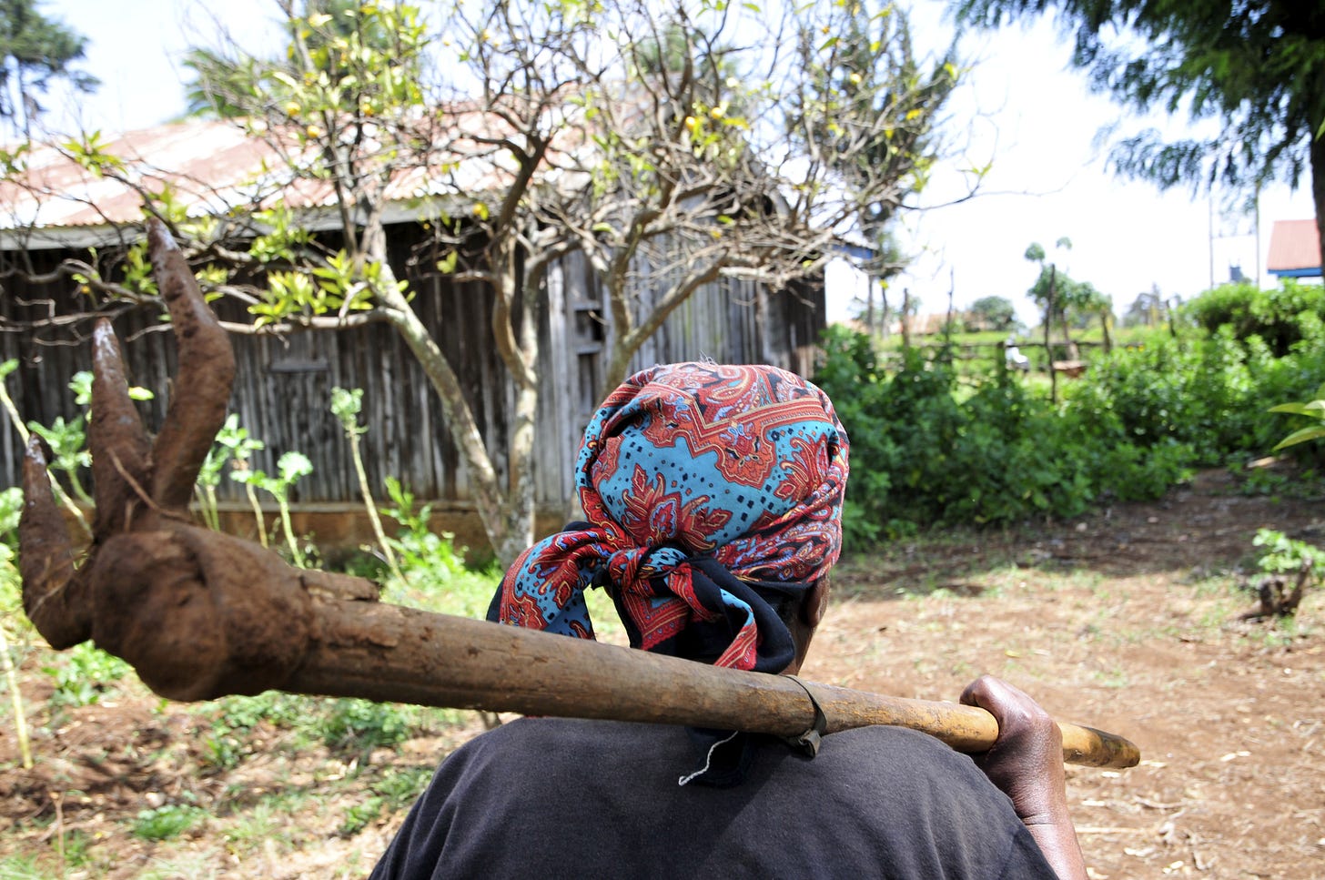 Farmer in the Mount Kenya region. (Neil Palmer with CIAT via Flickr)