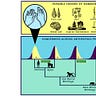 Anthropology.net