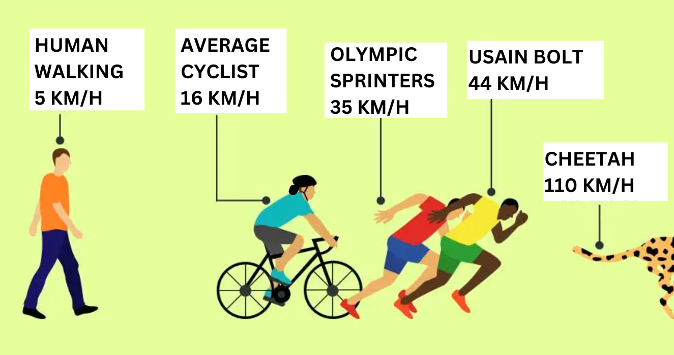 Graphic showing different speeds including Olympic Sprinters and Usain Bolt moving at 35km/h and 44km/h respectively.