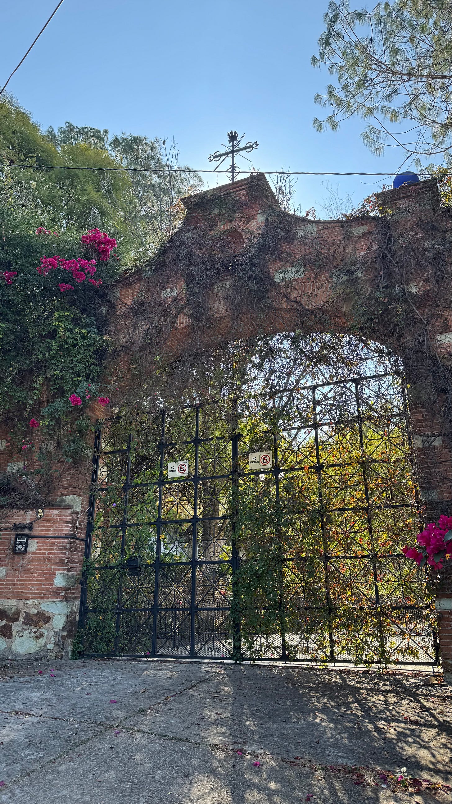 The gate to our neighbor's compound.