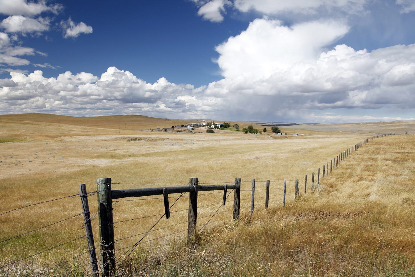 Taking down old fences to help migrating wildlife | National Geographic Taking down old fences to help migrating wildlife | National Geographic