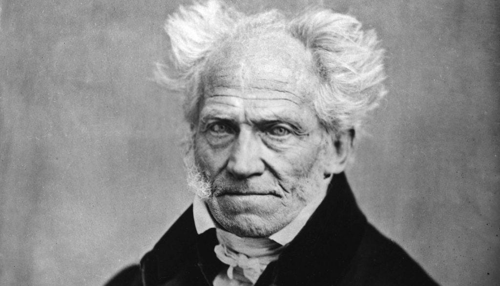 The drama of Arthur Schopenhauer- Omnes The drama of Arthur Schopenhauer- Omnes