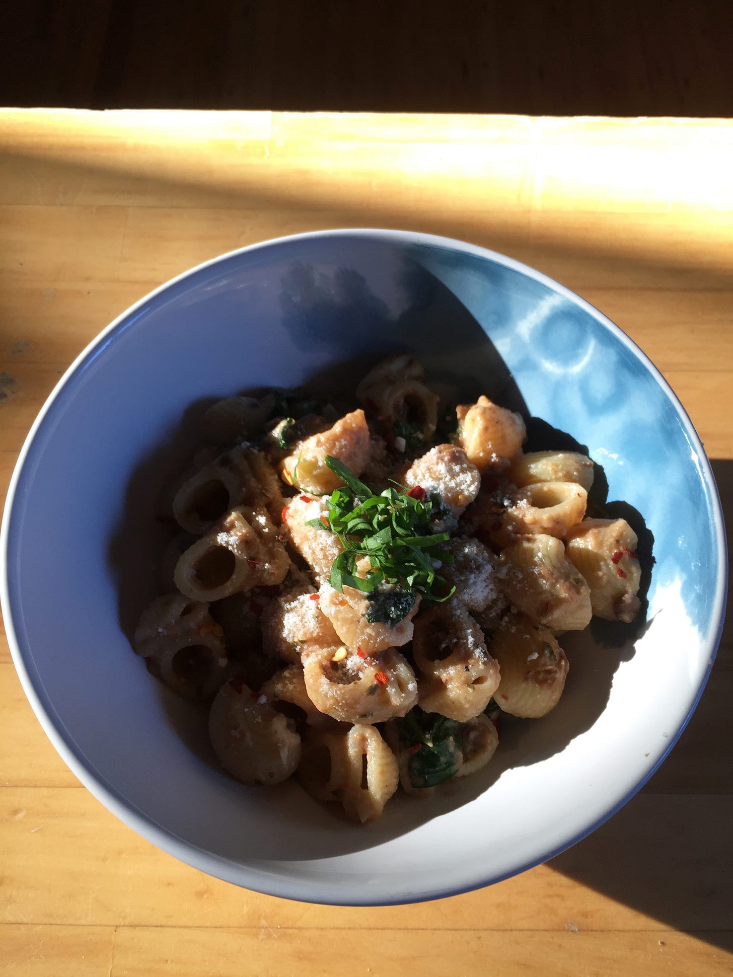 a white bowl of lumache noodles in a creamy sauce, with chili flakes, basil chiffonade, and a crumble of parmesan on top.