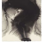 curiosities #2