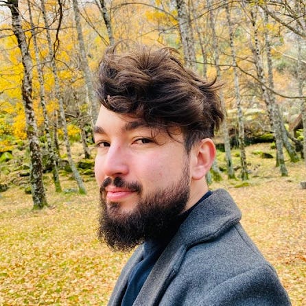 Professor's Substack logo