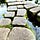 Sangha Poetry