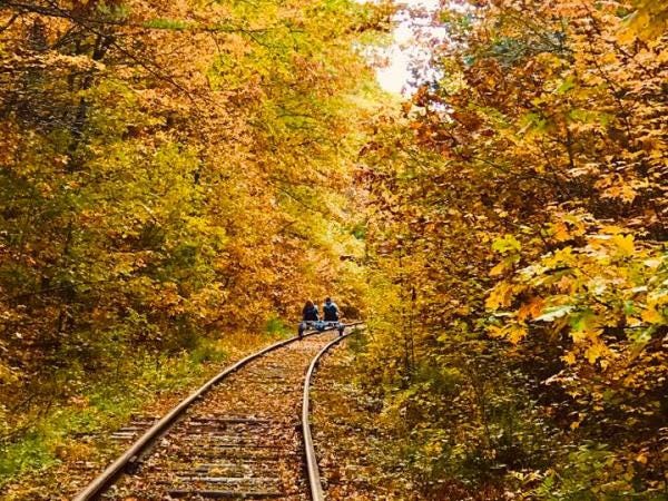 Scenic RailRiders Fall Foliage