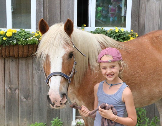 summer horseback riding camp summer horseback riding camp