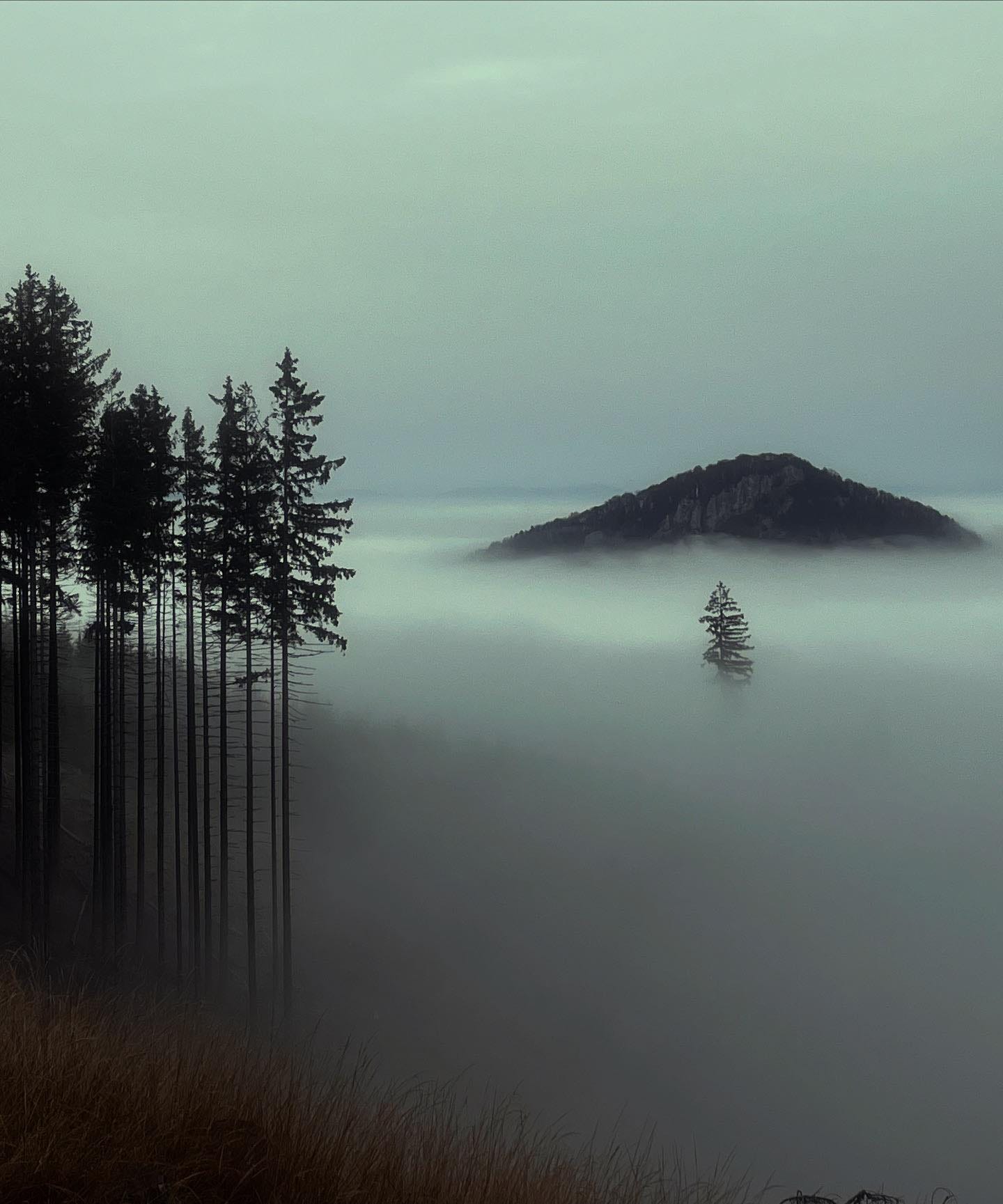 Na obrázku môže byť príroda a hmla