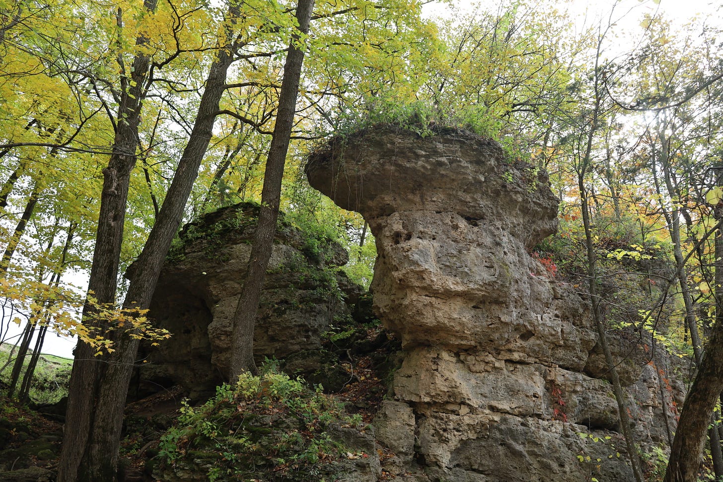 Backbone State Park - by Rob Faux