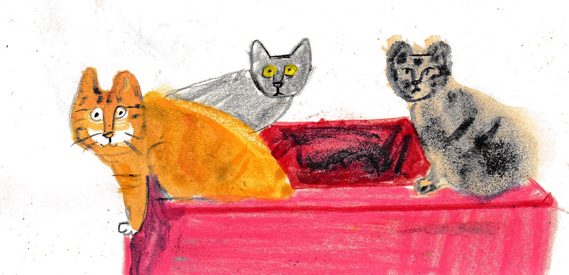 dumpster diving cats illustration by beth spencer