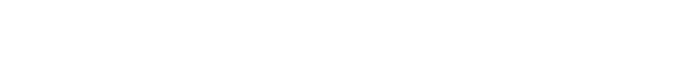 The Shadow Project