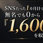 【大公開】SNSたった1カ月目で、無名でも0から「1,600万円」の利益がでたのか戦略