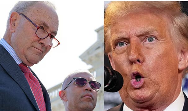 Trump's Mental Decline Is So Severe That He's Not Allowed To Meet Alone With Democrats