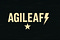 AgileAF – Agile Strategy, Leadership & Product Thinking