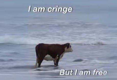 “To be cringe is to be free.”. Is being cringy enlightening or just ...