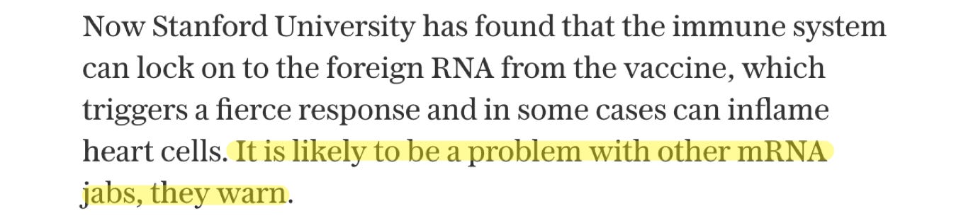 image 4.png image 4.png