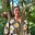 Justine Shu's avatar