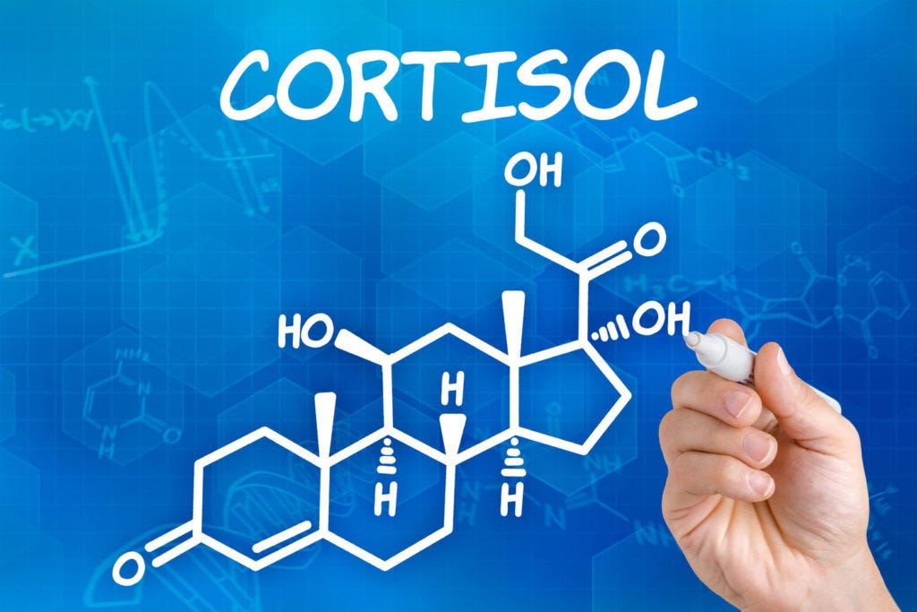 cortisol stress brain