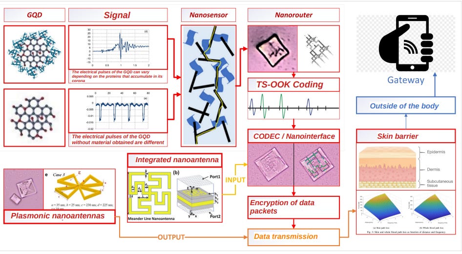 A BIOMETRIC CONTROL GRID Inside Every Human On Earth